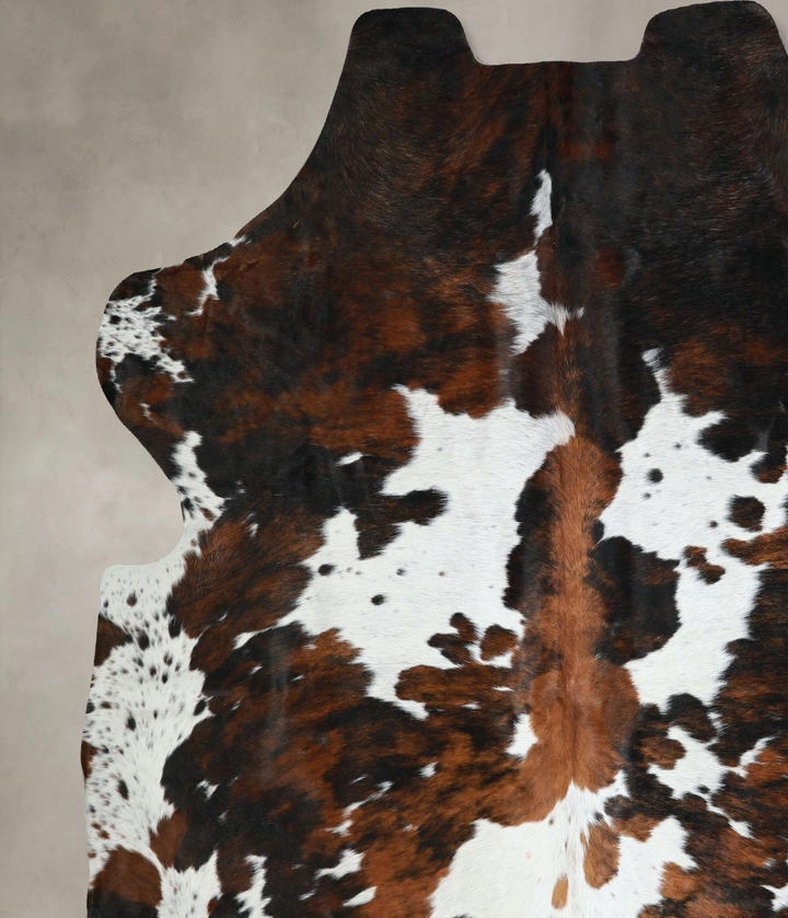 Tricolor X-Large European Cowhide Rug 6'10"H x 7'0"W #A41325 by Hudson Hides
