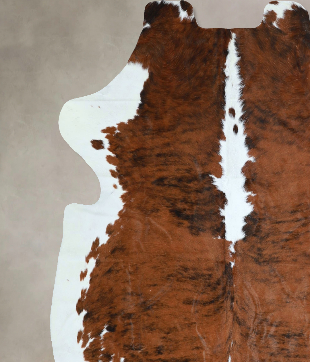 Tricolor X-Large European Cowhide Rug 6'8"H x 6'1"W #A41326 by Hudson 