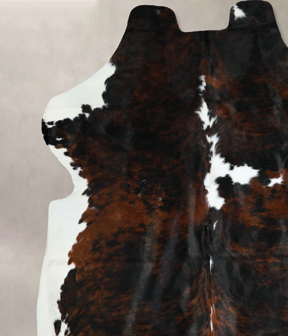 Tricolor X-Large European Cowhide Rug 6'9"H x 6'8"W #A41327 by Hudson Hides