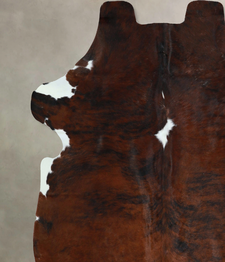 Tricolor X-Large European Cowhide Rug 6'6"H x 6'2"W #A41329 by Hudson Hides
