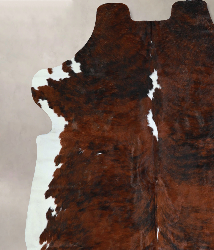 Tricolor X-Large European Cowhide Rug 6'9"H x 6'1"W #A41330 by Hudson Hides