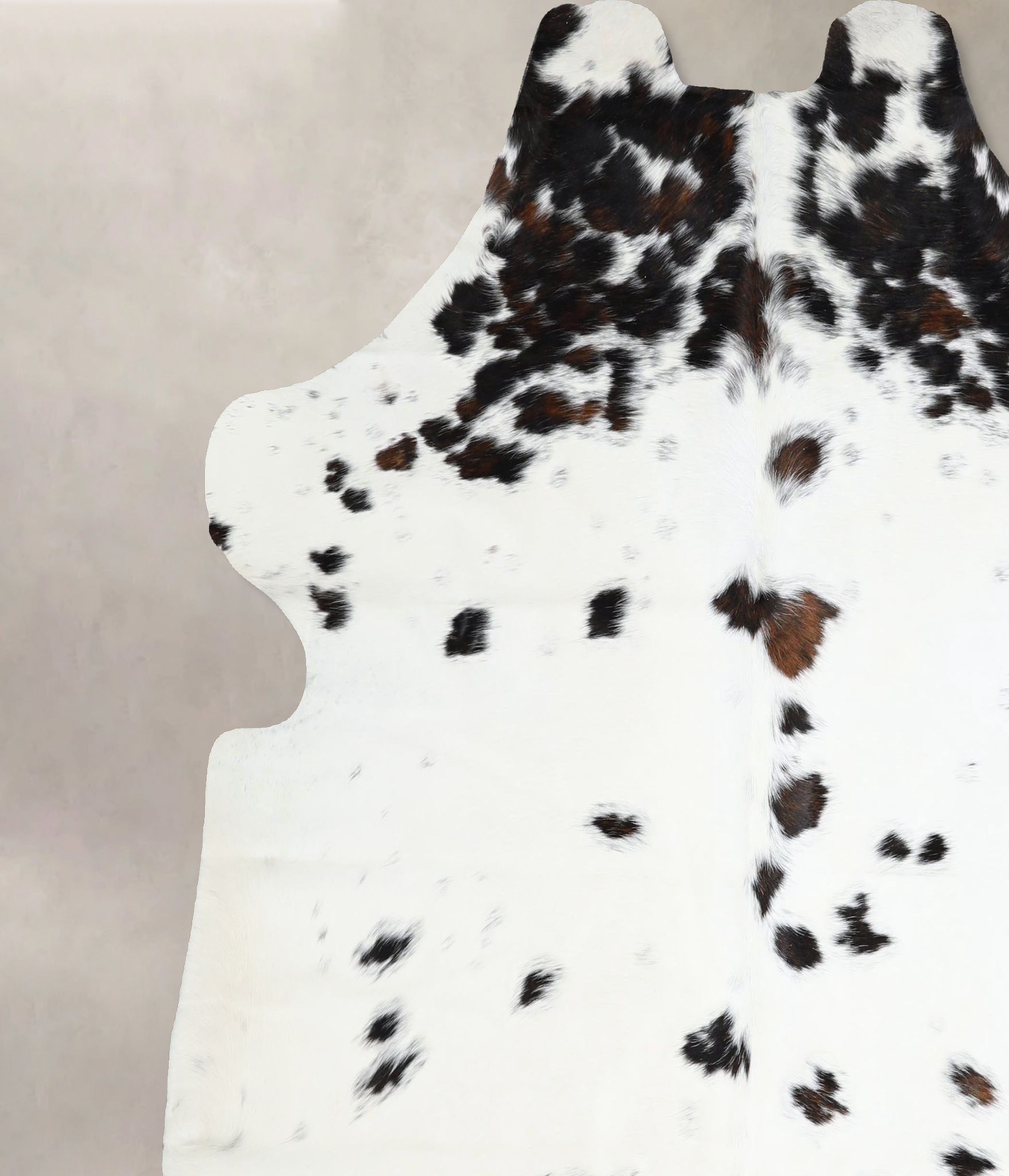 Tricolor Cowhide Rug #A41336