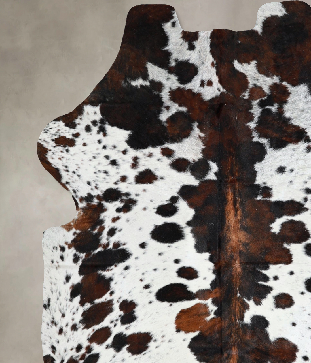 Tricolor X-Large European Cowhide Rug 6'11"H x 6'1"W #A41339 by Hudson