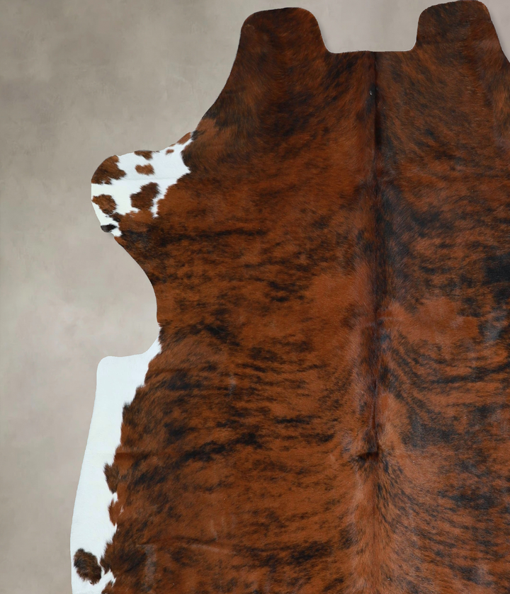 Tricolor X-Large European Cowhide Rug 6'9"H x 6'7"W #A41341 by Hudson Hides