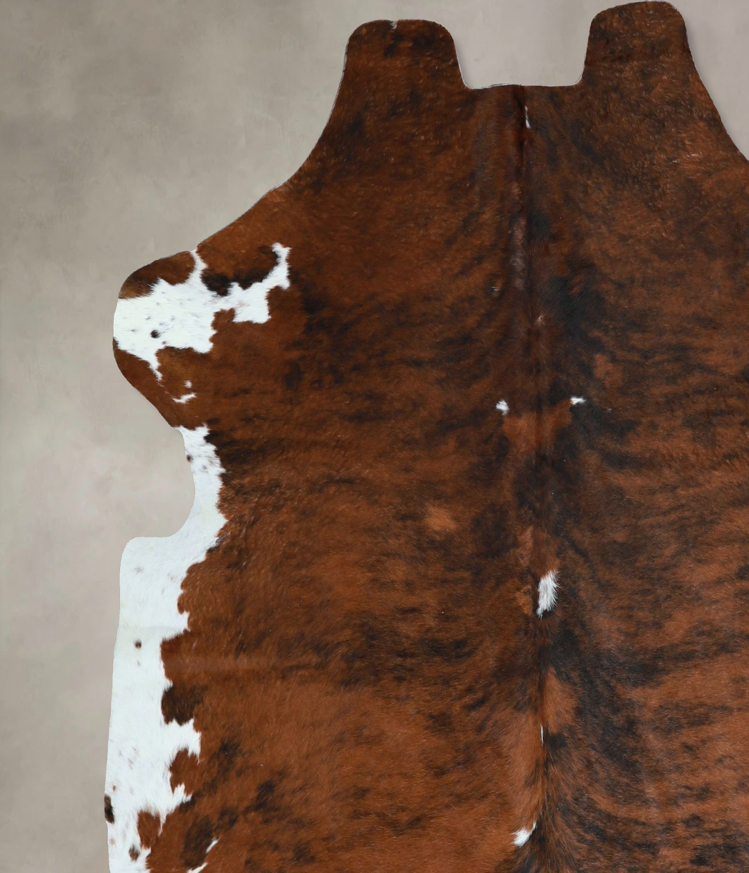 Tricolor X-Large European Cowhide Rug 6'6"H x 6'4"W #A41343 by Hudson 