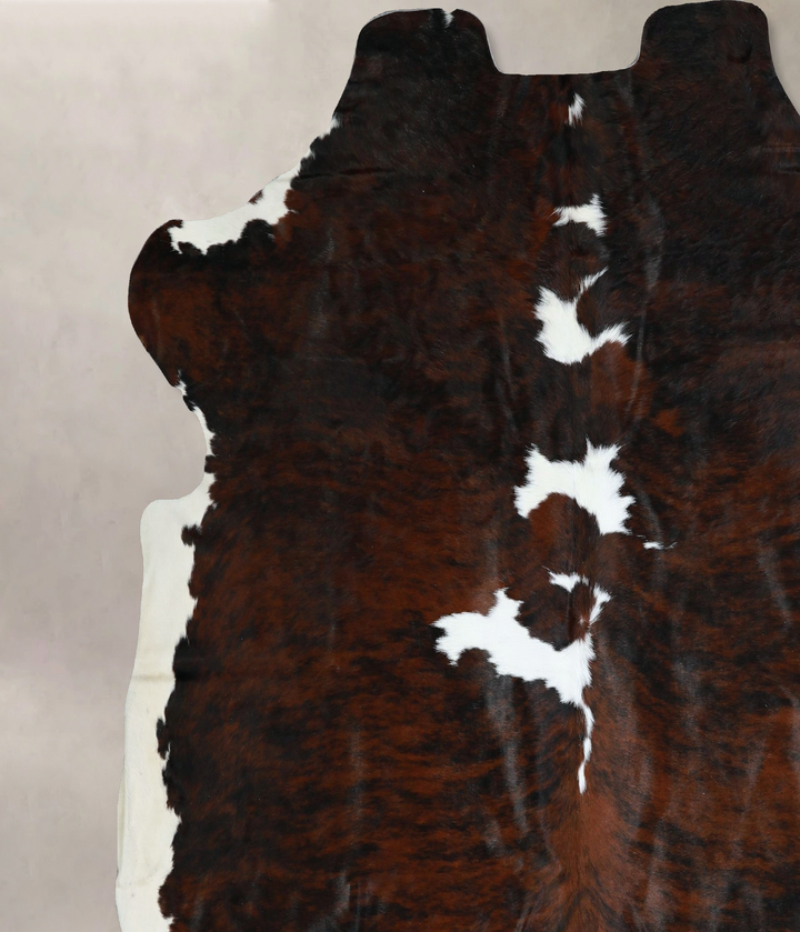 Tricolor X-Large European Cowhide Rug 7'0"H x 7'1"W #A41345 by Hudson Hides