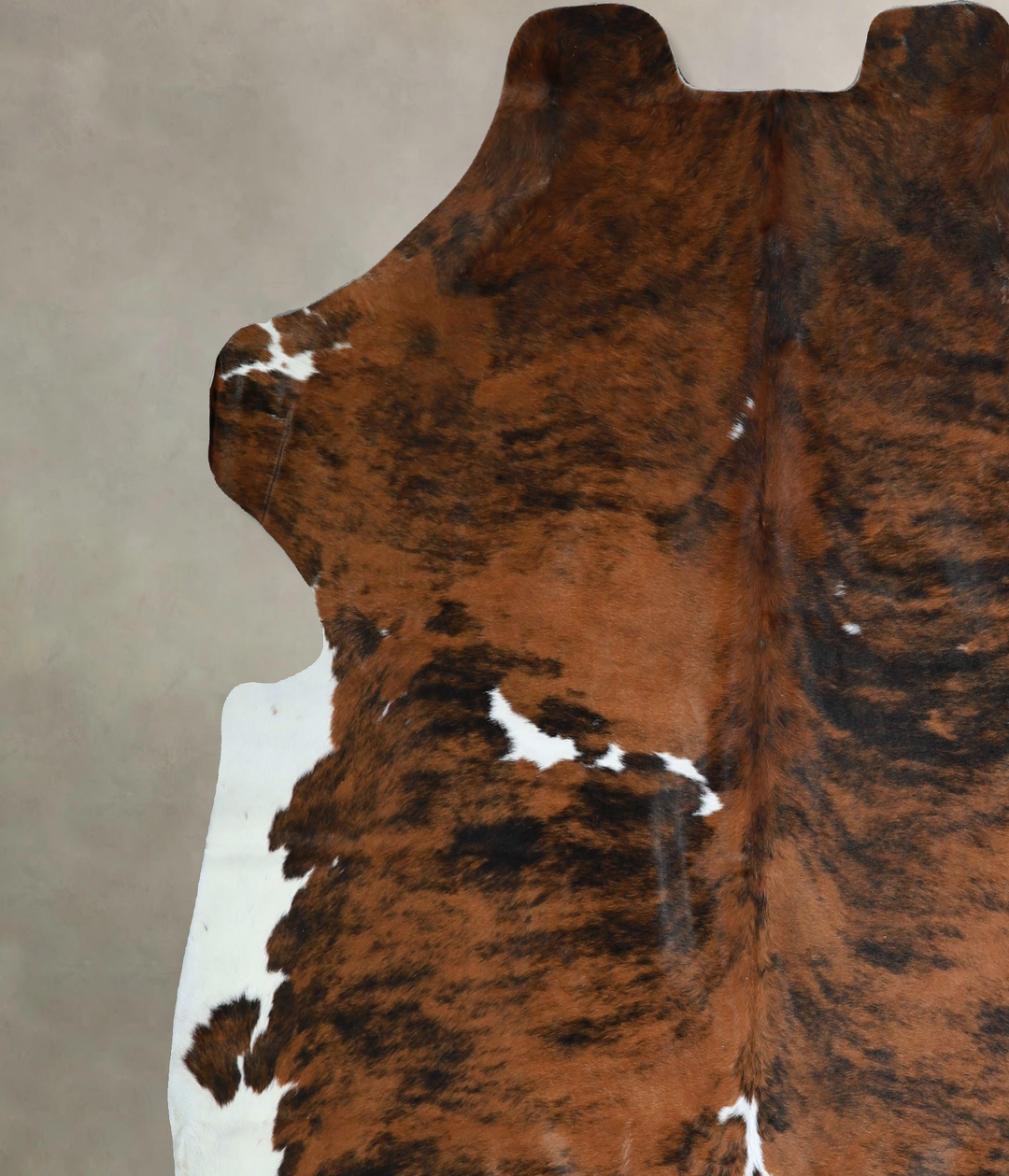 Tricolor X-Large European Cowhide Rug 6'11"H x 6'8"W #A41348 by Hudson