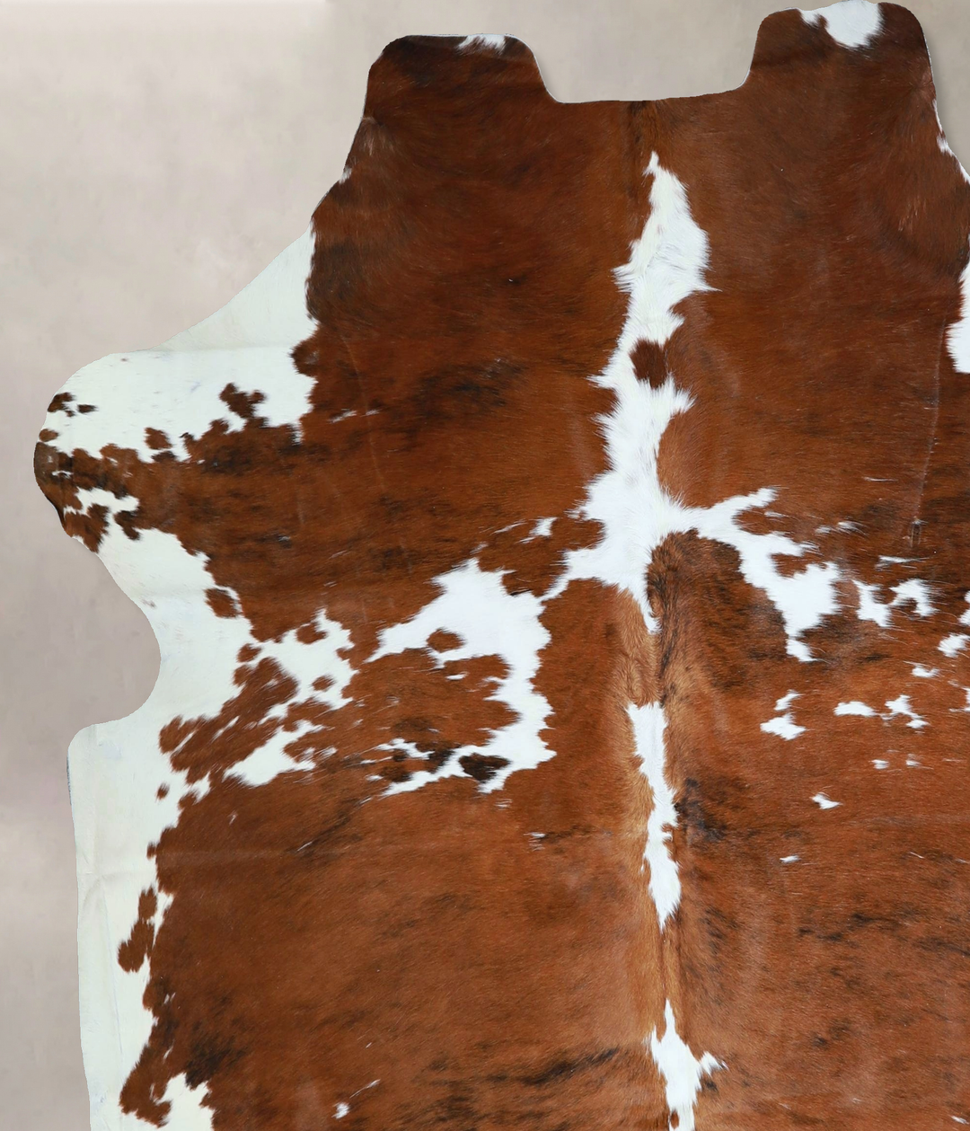 Tricolor X-Large European Cowhide Rug 6'8"H x 6'2"W #A41349 by Hudson 
