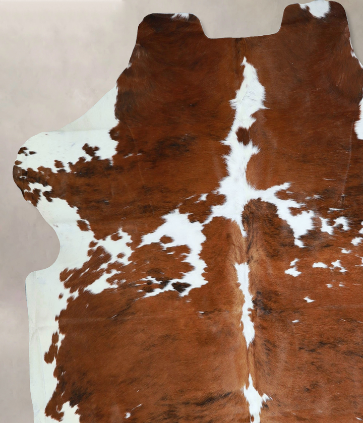 Tricolor X-Large European Cowhide Rug 6'8"H x 6'2"W #A41349 by Hudson Hides