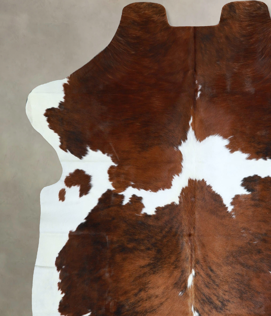 Tricolor X-Large European Cowhide Rug 6'10"H x 6'3"W #A41351 by Hudson