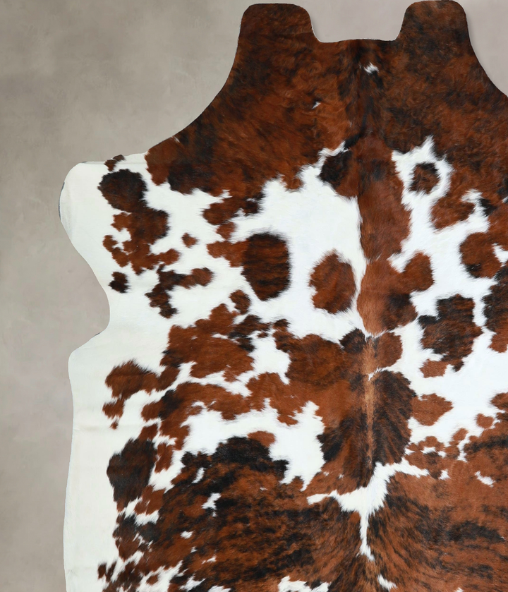 Tricolor X-Large European Cowhide Rug 6'10"H x 6'7"W #A41352 by Hudson Hides