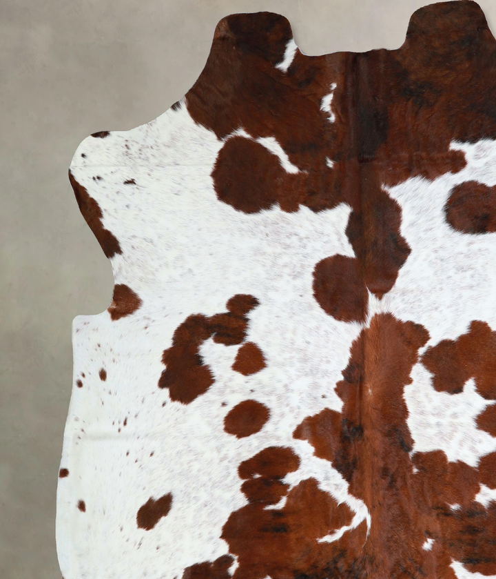 Tricolor X-Large European Cowhide Rug 6'9"H x 6'8"W #A41353 by Hudson Hides