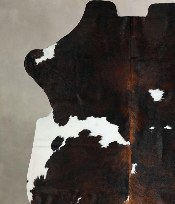 Tricolor X-Large European Cowhide Rug 7'1"H x 6'5"W #A41355 by Hudson Hides