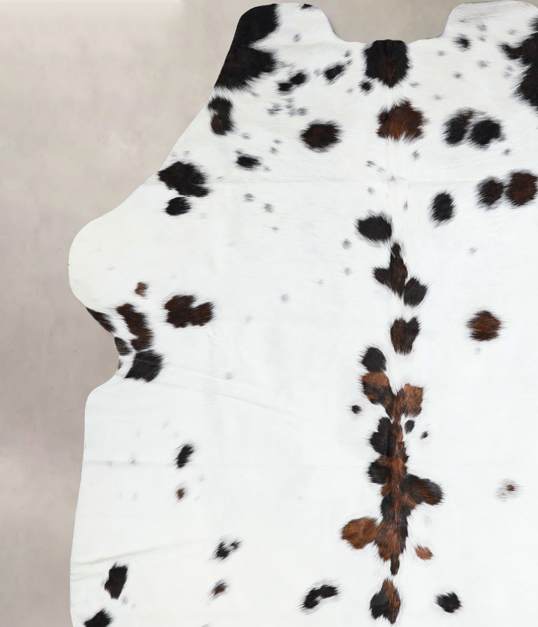 Tricolor Cowhide Rug #A41361