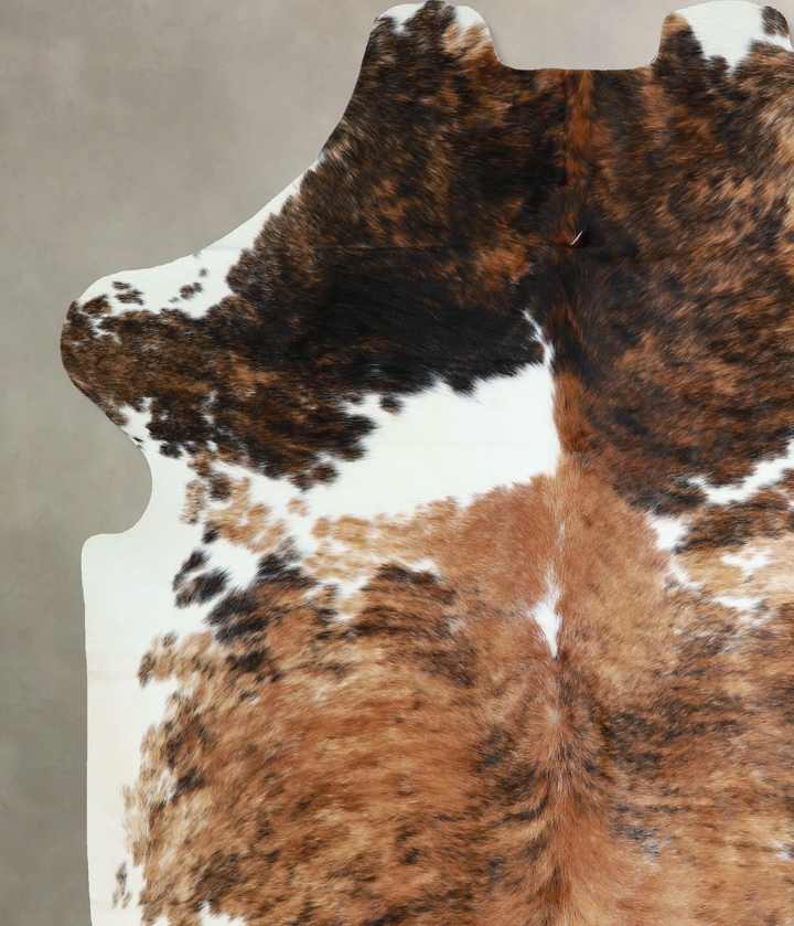 Tricolor X-Large European Cowhide Rug 6'10"H x 6'1"W #A41364 by Hudson Hides