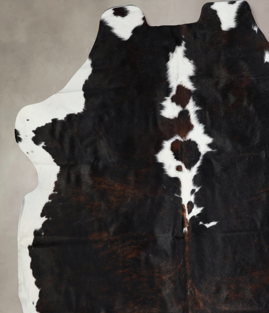 Tricolor X-Large European Cowhide Rug 6'8"H x 6'5"W #A41365 by Hudson 