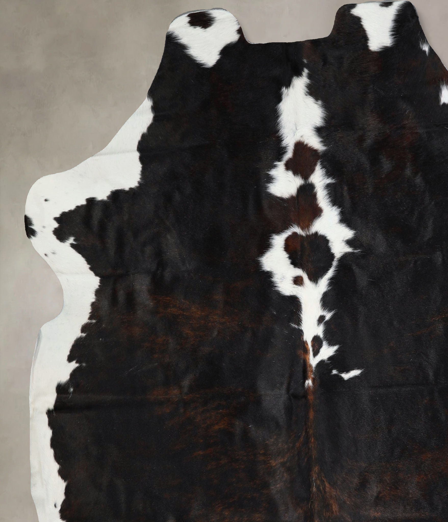 Tricolor Cowhide Rug #A41365