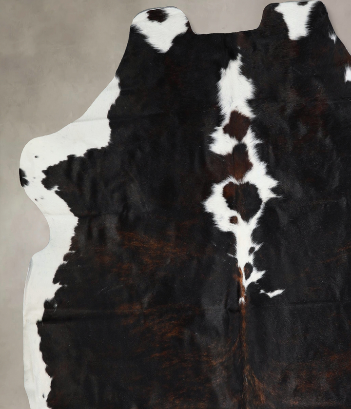 Tricolor X-Large European Cowhide Rug 6'8"H x 6'5"W #A41365 by Hudson Hides