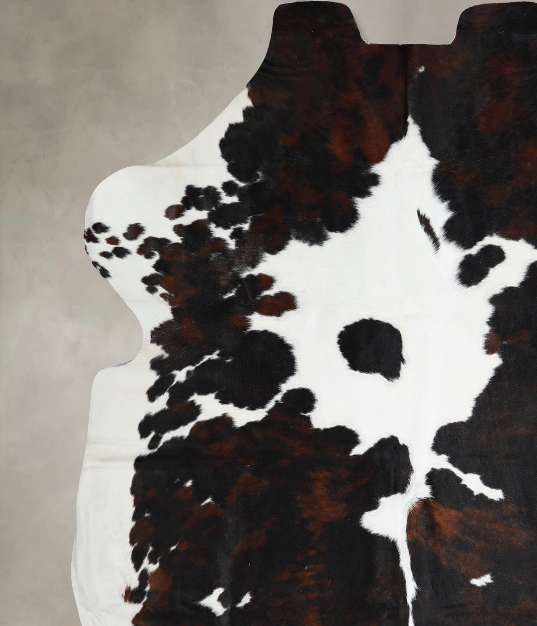Tricolor X-Large European Cowhide Rug 7'2"H x 6'10"W #A41367 by Hudson
