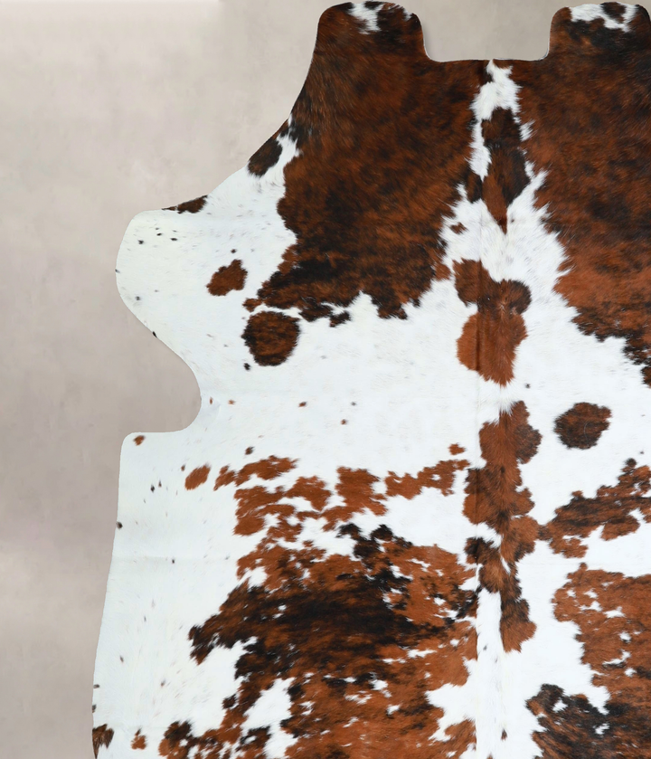 Tricolor X-Large European Cowhide Rug 7'1"H x 6'8"W #A41368 by Hudson Hides
