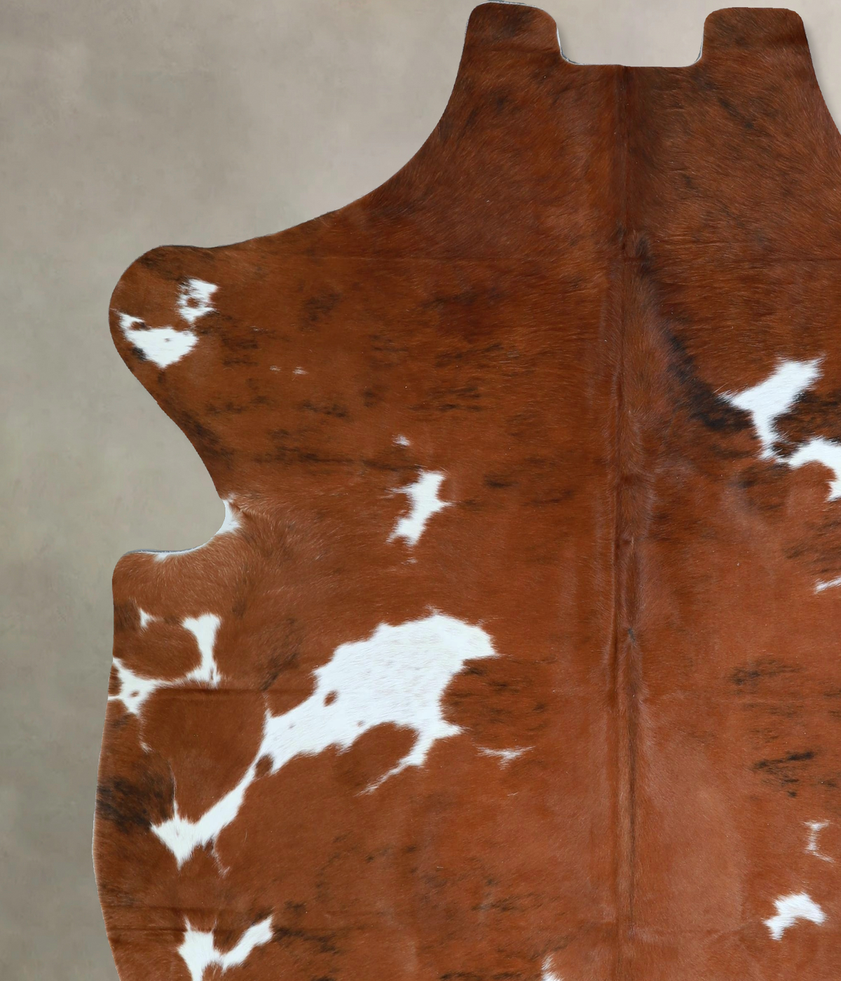 Tricolor X-Large European Cowhide Rug 7'2"H x 6'3"W #A41369 by Hudson Hides