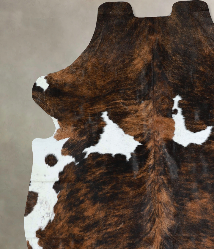 Tricolor X-Large European Cowhide Rug 7'2"H x 6'5"W #A41370 by Hudson Hides