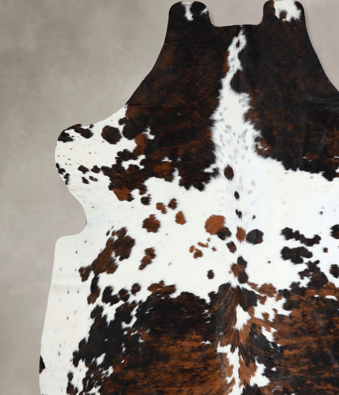 Tricolor X-Large European Cowhide Rug 6'10"H x 6'9"W #A41378 by Hudson