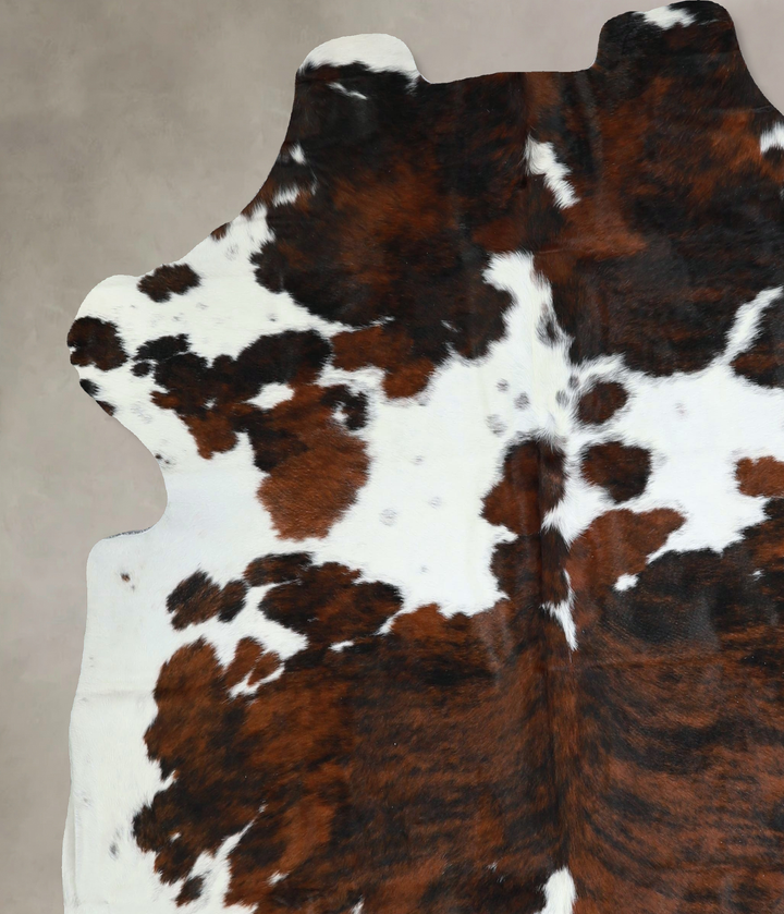Tricolor X-Large European Cowhide Rug 6'9"H x 6'4"W #A41380 by Hudson Hides