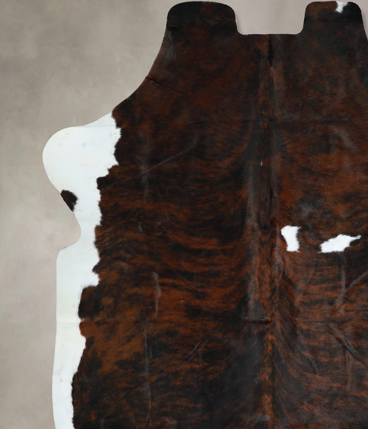 Tricolor X-Large European Cowhide Rug 6'6"H x 6'2"W #A41381 by Hudson Hides