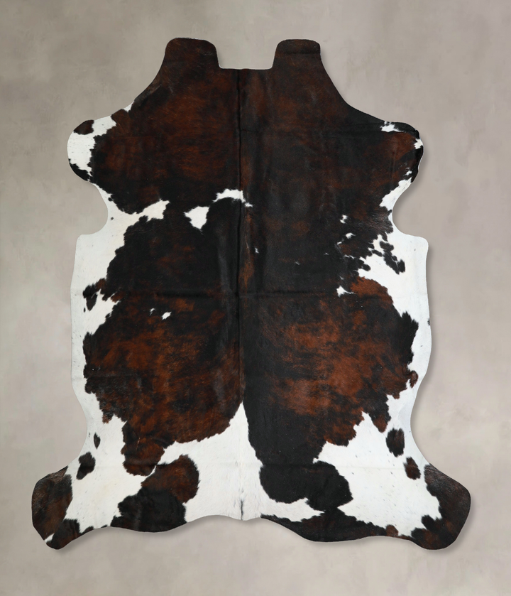 Tricolor X-Large European Cowhide Rug 6'11"H x 7'1"W #A41385 by Hudson Hides