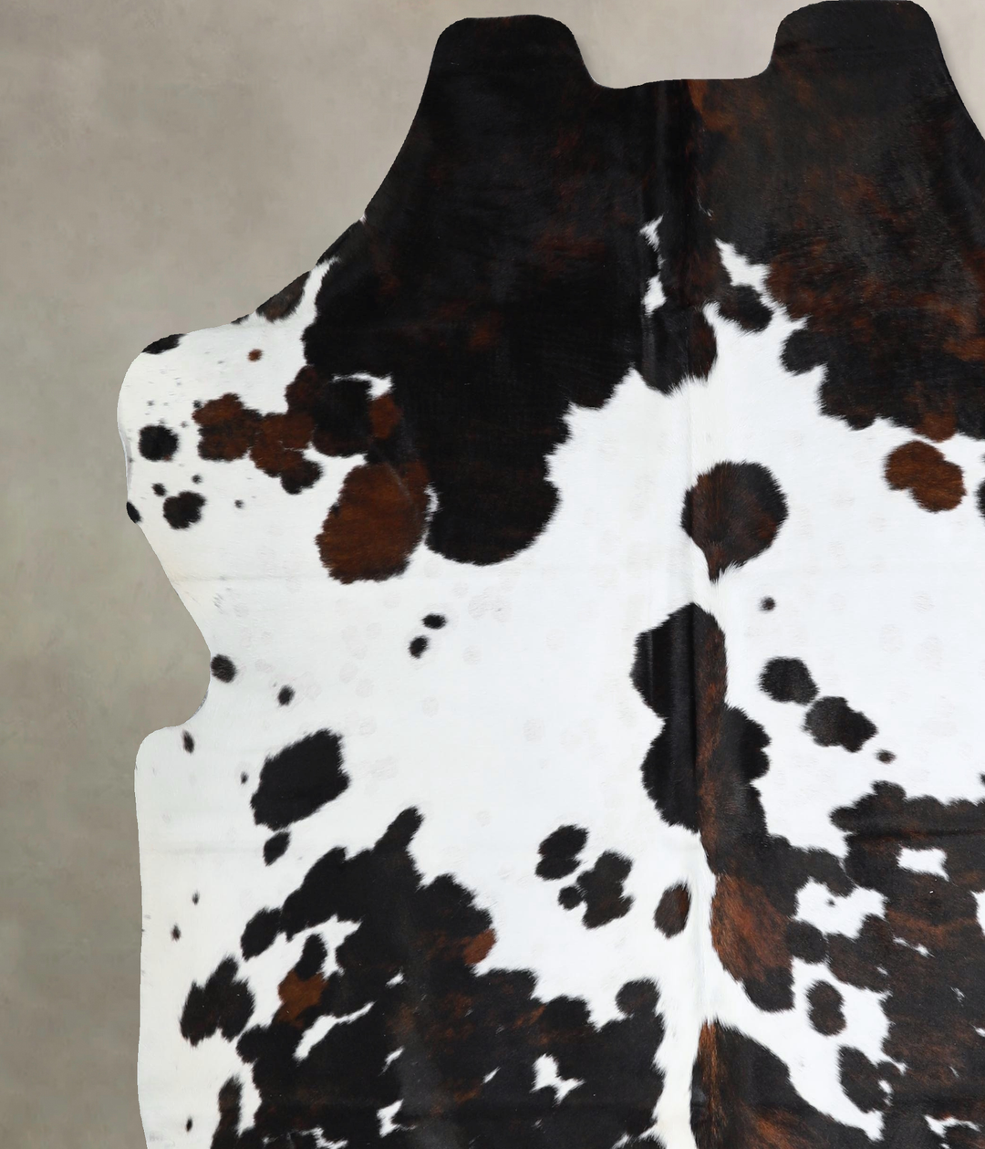 Tricolor X-Large European Cowhide Rug 6'10"H x 6'6"W #A41386 by Hudson