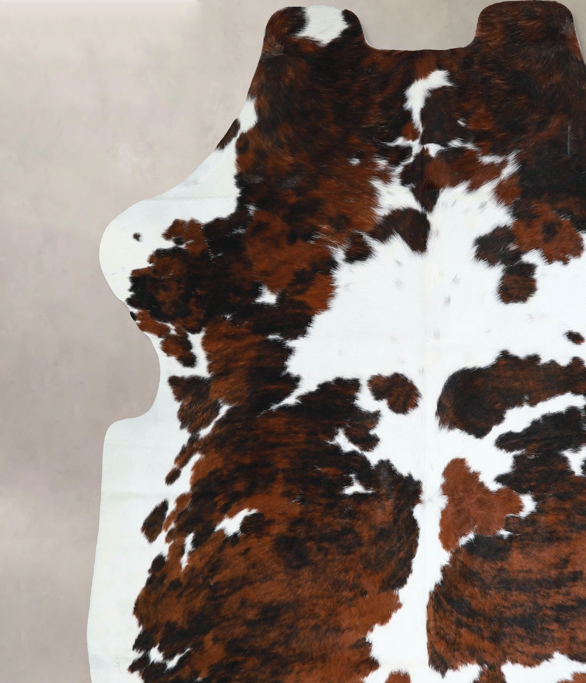 Tricolor X-Large European Cowhide Rug 7'0"H x 6'5"W #A41388 by Hudson Hides