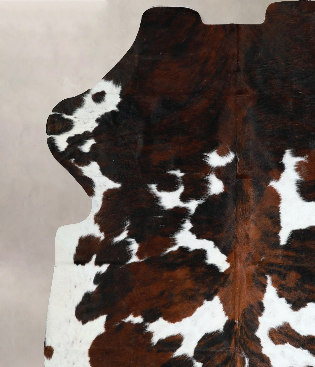 Tricolor X-Large European Cowhide Rug 6'8"H x 6'5"W #A41389 by Hudson 