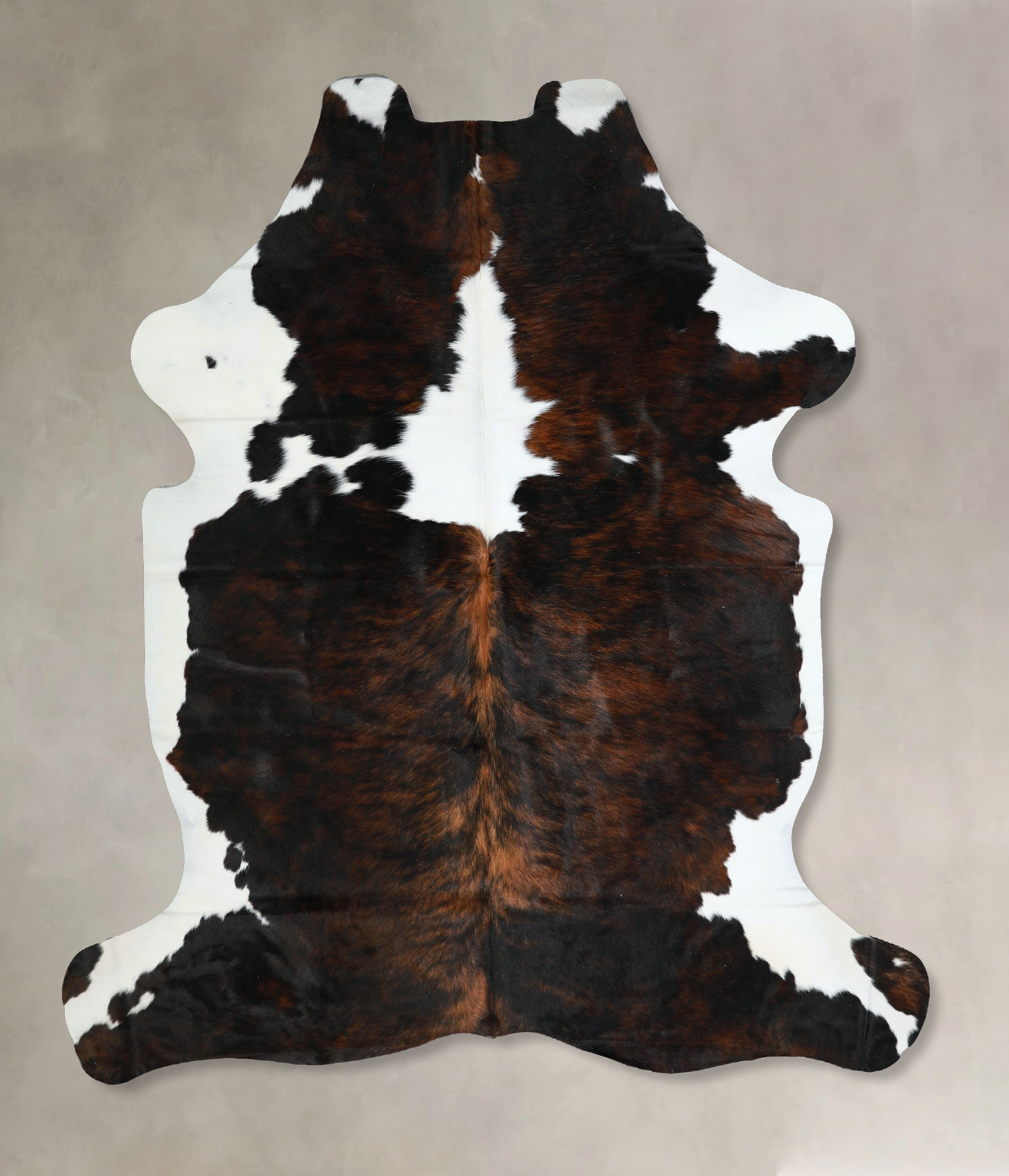 Tricolor Cowhide Rug #A41390