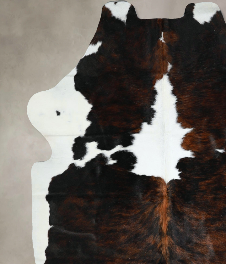 Tricolor X-Large European Cowhide Rug 6'10"H x 6'0"W #A41390 by Hudson Hides