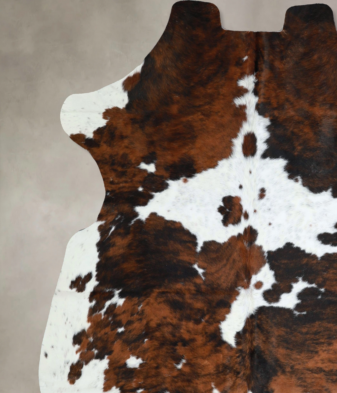 Tricolor X-Large European Cowhide Rug 7'4"H x 6'6"W #A41421 by Hudson 