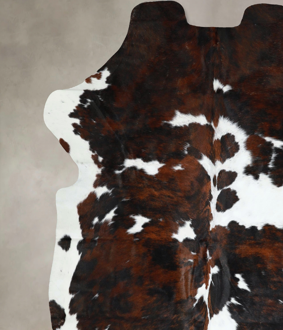 Tricolor X-Large European Cowhide Rug 7'4"H x 6'2"W #A41422 by Hudson 