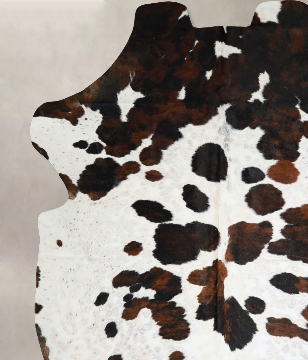 Tricolor X-Large European Cowhide Rug 7'9"H x 6'6"W #A41425 by Hudson 