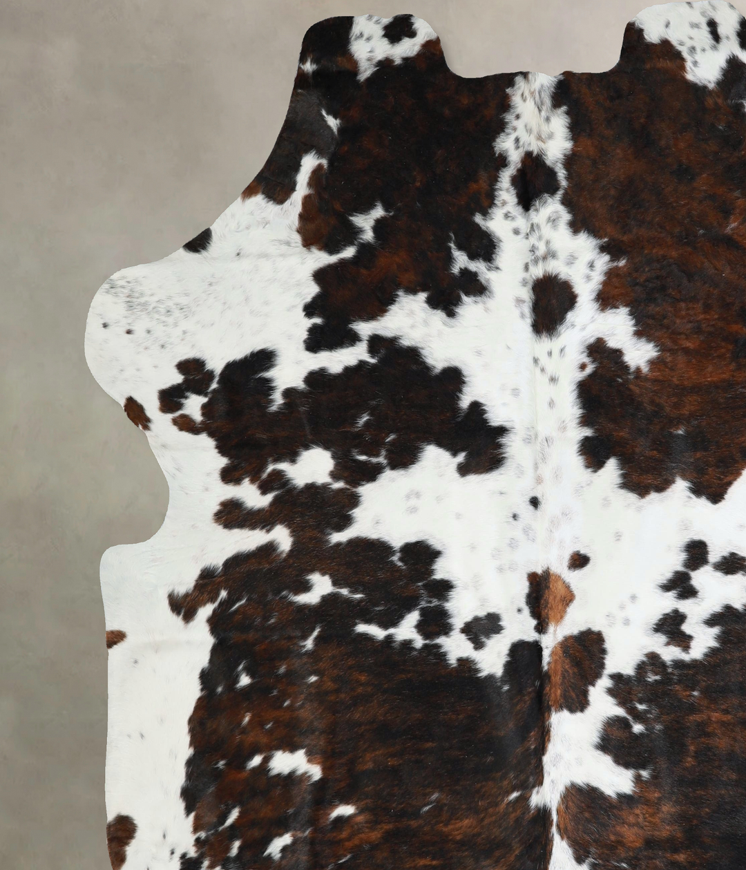 Tricolor XX-Large European Cowhide Rug 7'6"H x 6'11"W #A41427 by Hudso