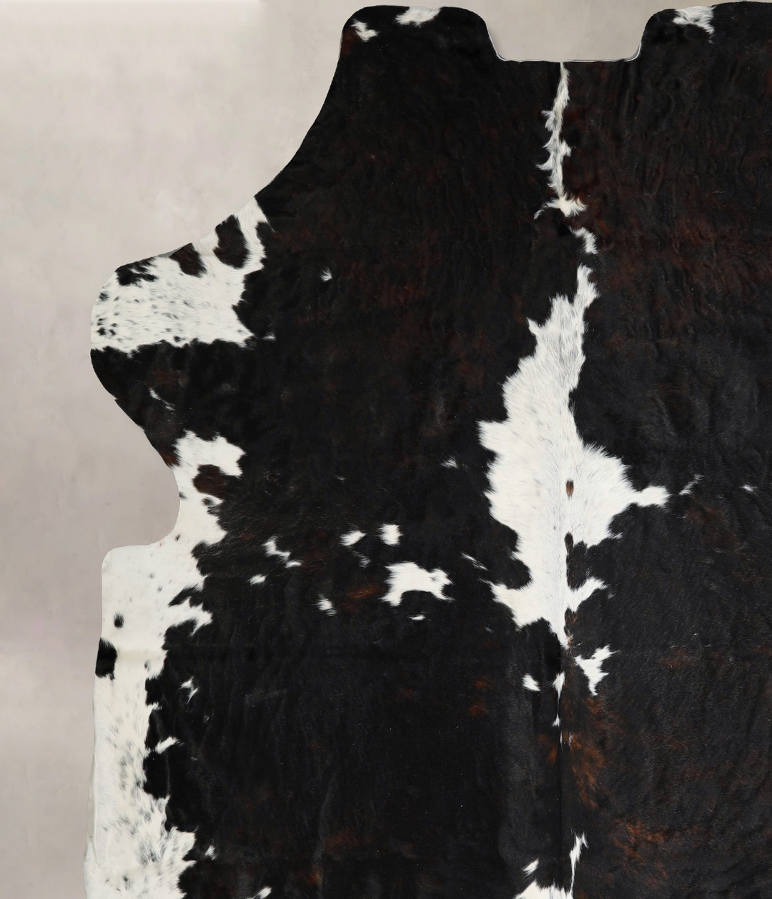 Tricolor XX-Large European Cowhide Rug 7'11"H x 7'1"W #A41428 by Hudso