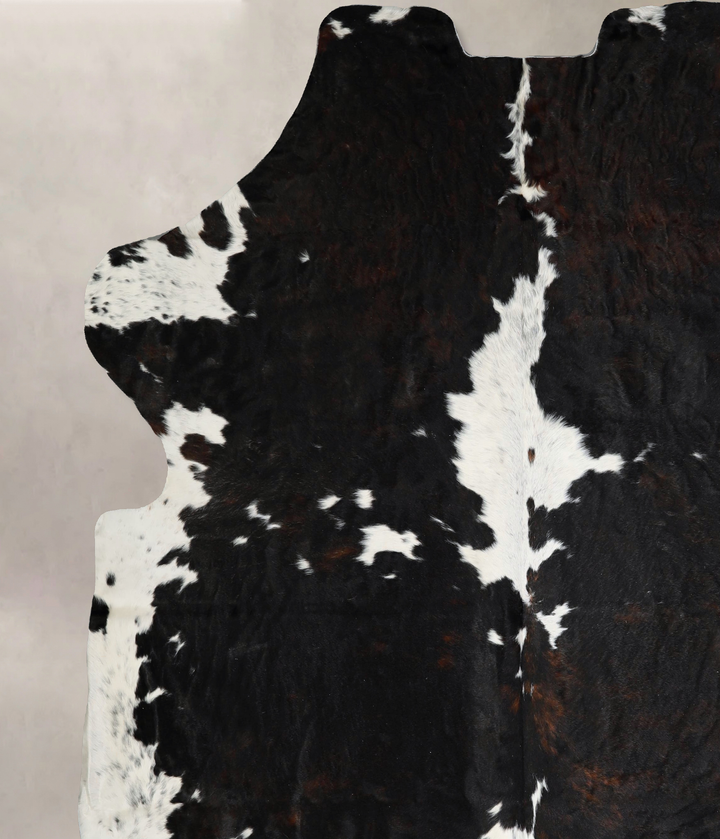 Tricolor XX-Large European Cowhide Rug 7'11"H x 7'1"W #A41428 by Hudson Hides