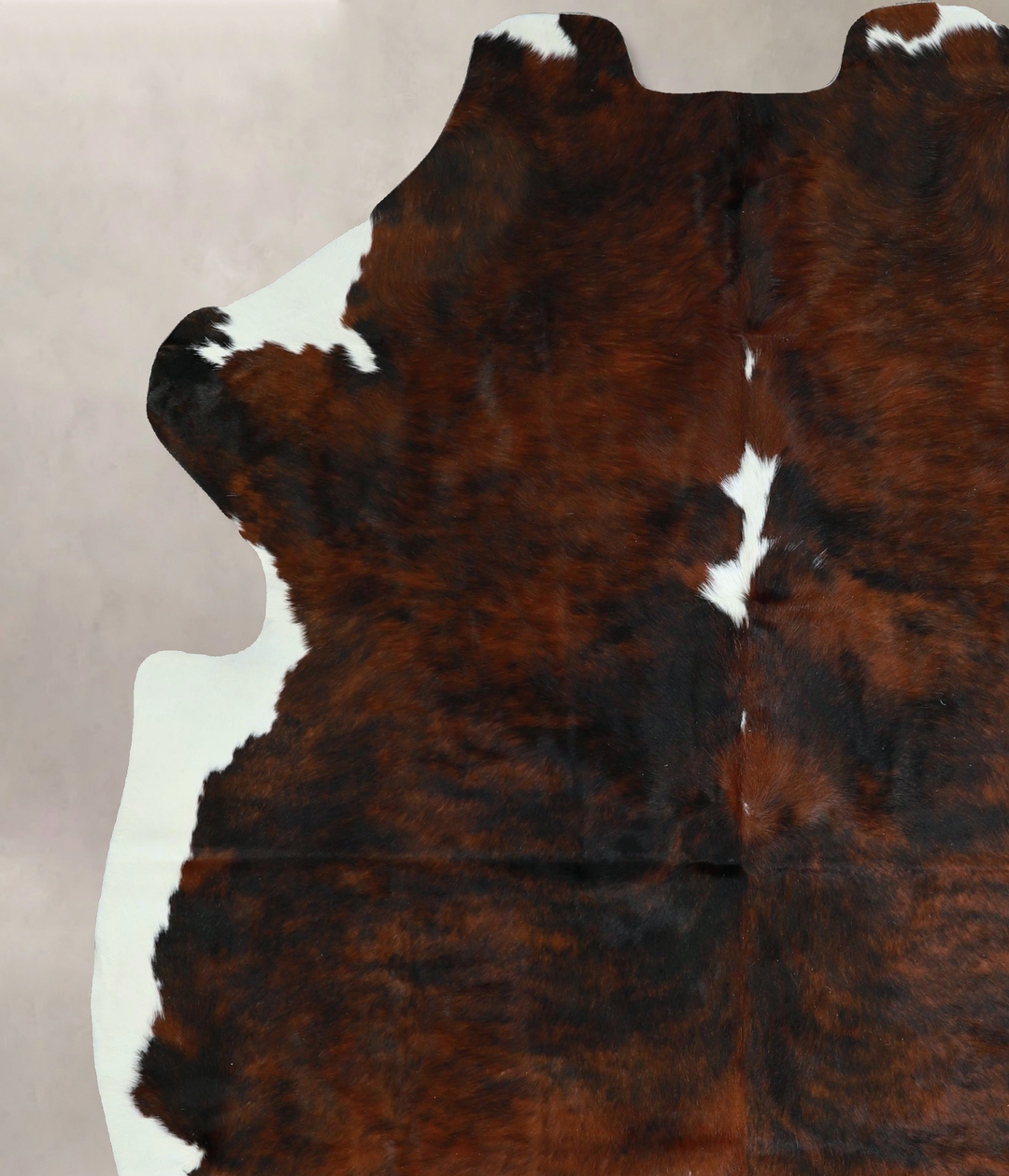 Tricolor X-Large European Cowhide Rug 7'4"H x 6'3"W #A41439 by Hudson 