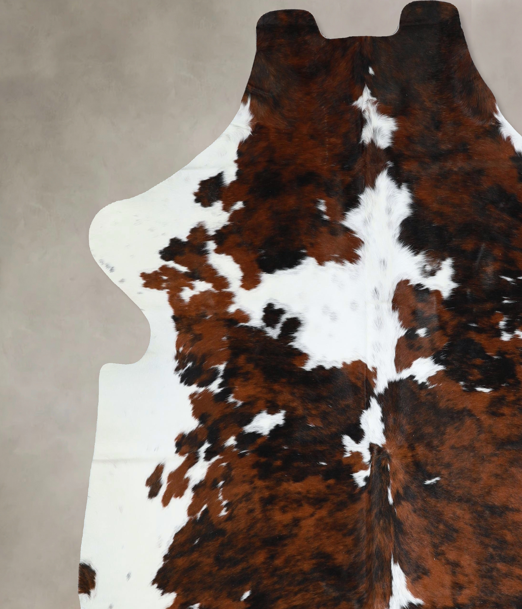 Tricolor Cowhide Rug #A41457