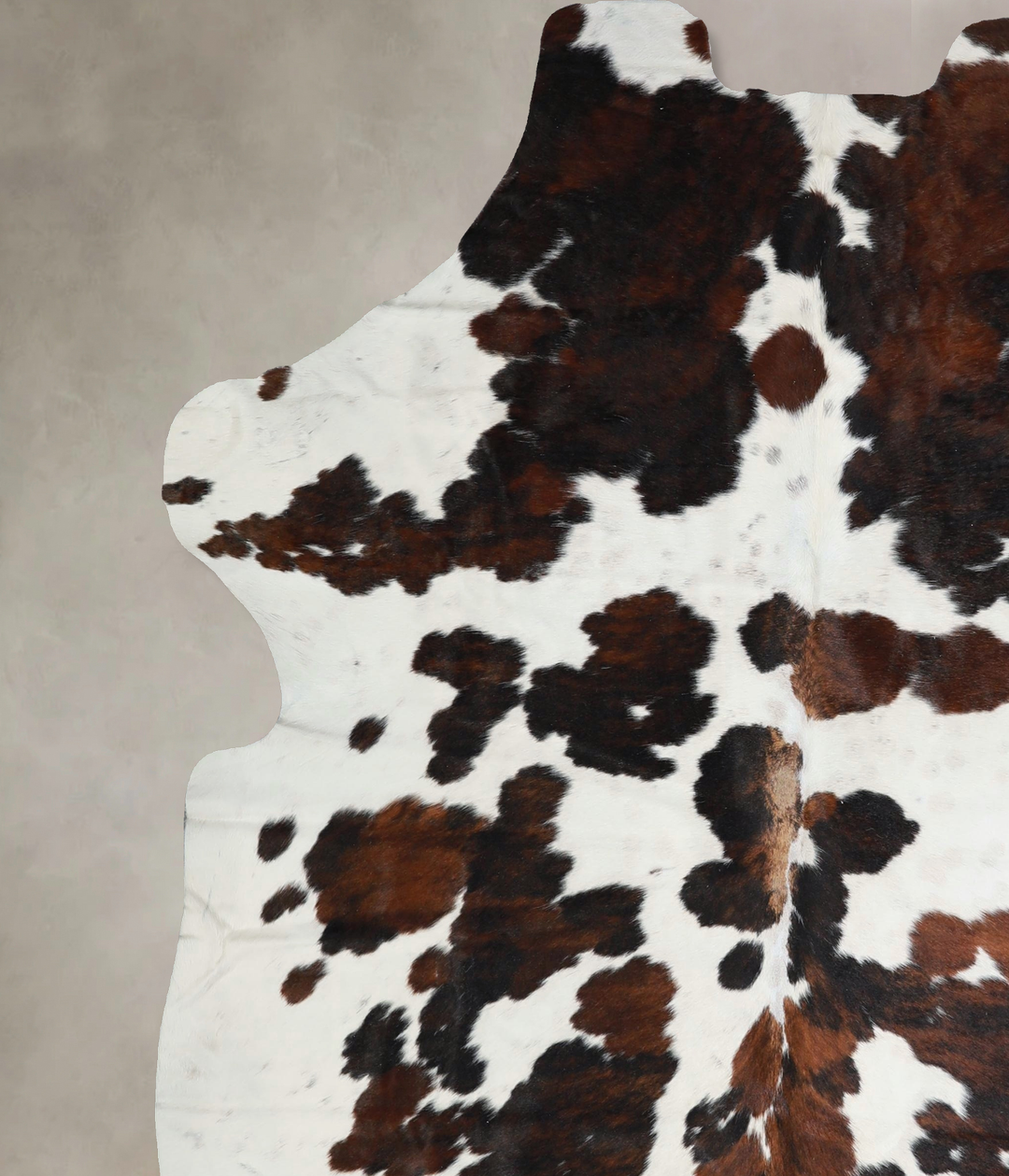 Tricolor X-Large European Cowhide Rug 7'5"H x 6'4"W #A41470 by Hudson 