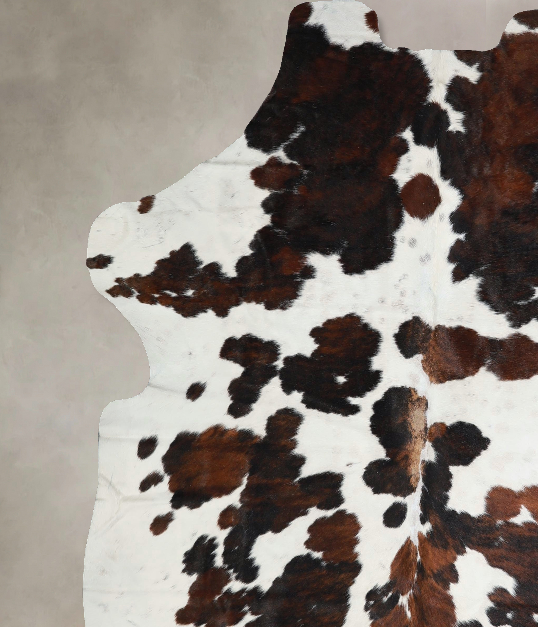 Tricolor Cowhide Rug #A41470