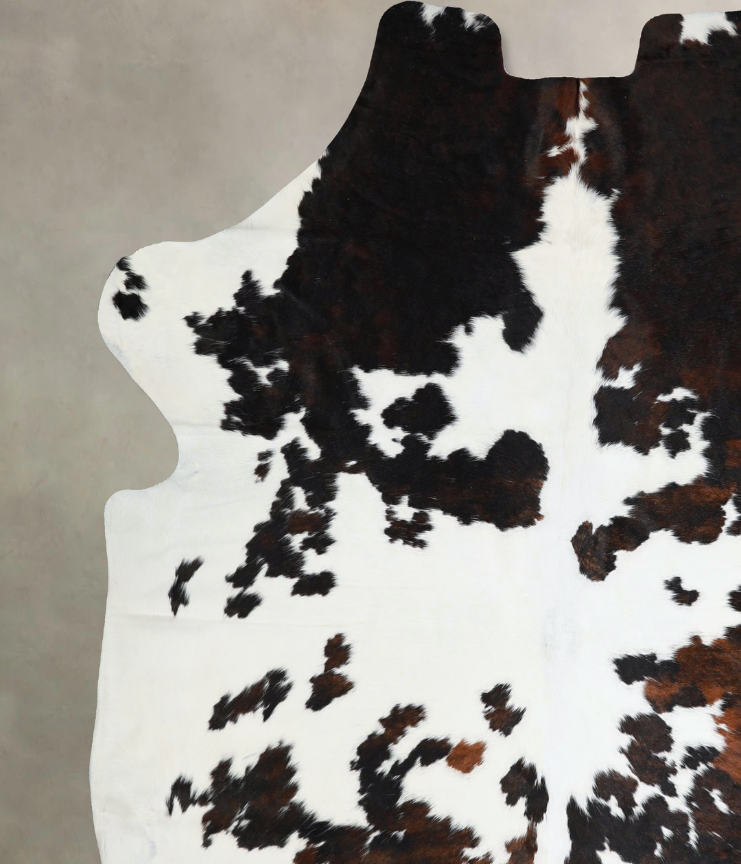 Tricolor XX-Large European Cowhide Rug 7'6"H x 6'11"W #A41473 by Hudso