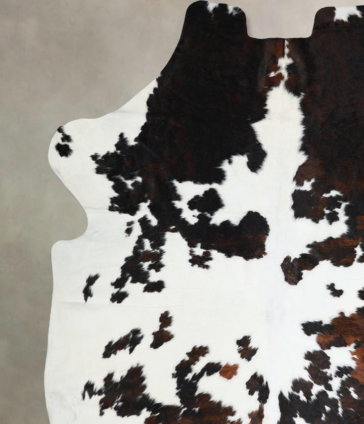 Tricolor XX-Large European Cowhide Rug 7'6"H x 6'11"W #A41473 by Hudson Hides