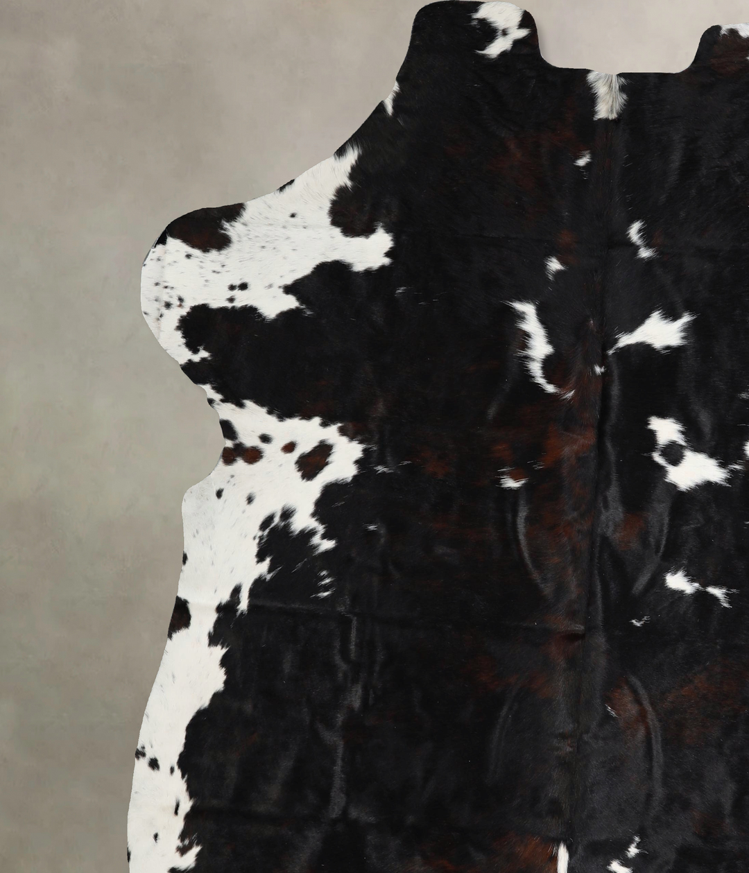 Tricolor XX-Large European Cowhide Rug 7'7"H x 6'9"W #A41475 by Hudson