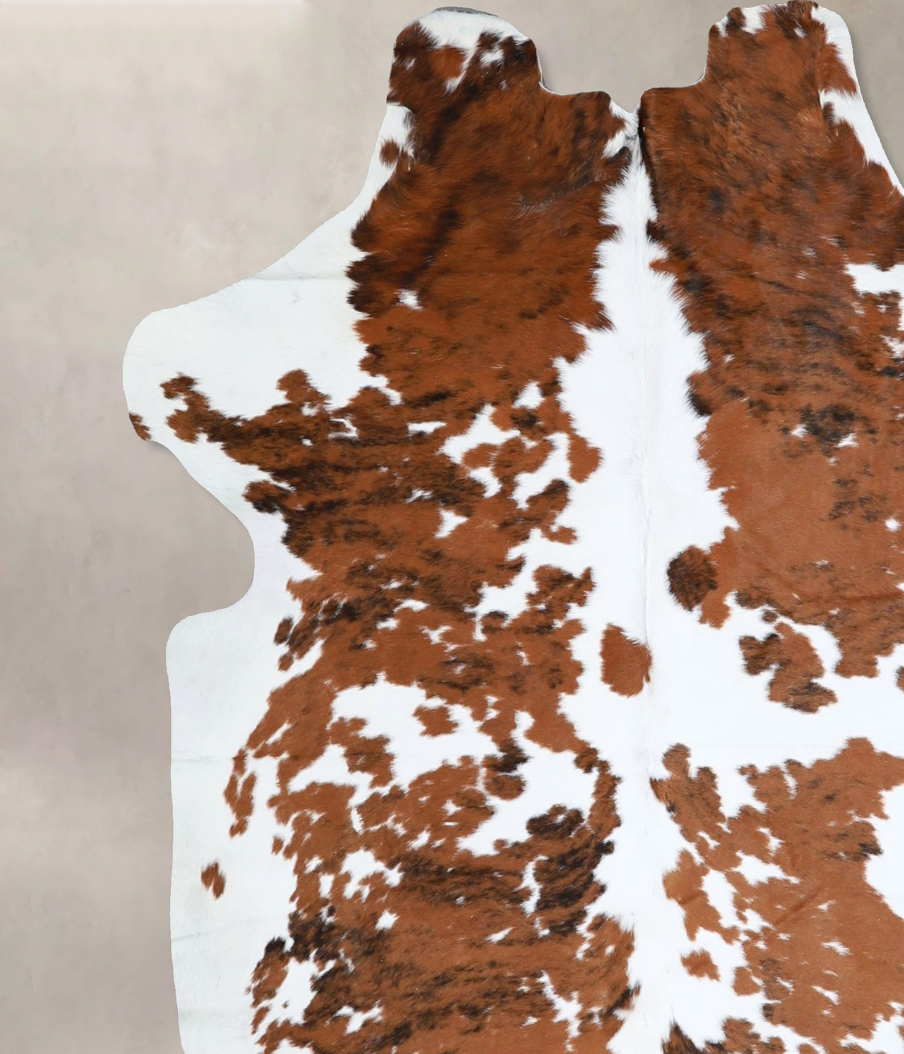 Tricolor Cowhide Rug #A41490