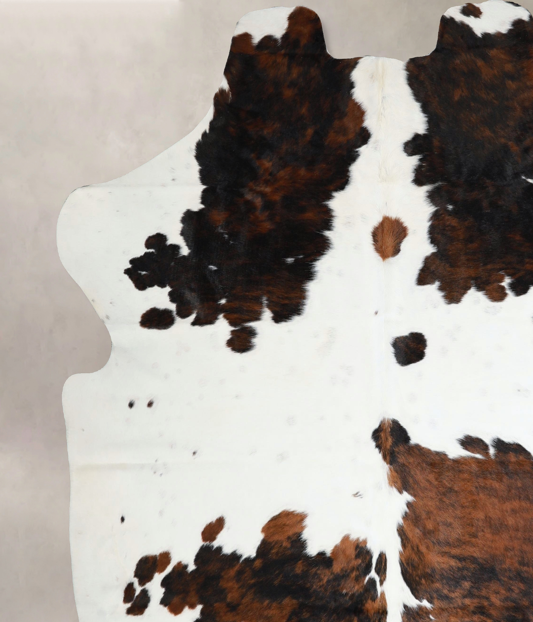 Tricolor XX-Large European Cowhide Rug 7'4"H x 7'0"W #A41511 by Hudson